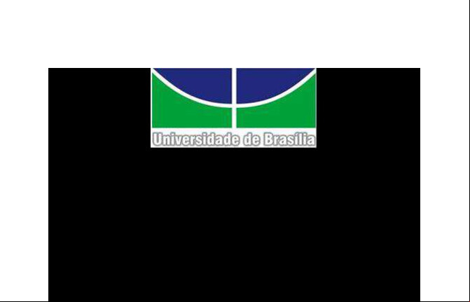 Alt da imagem