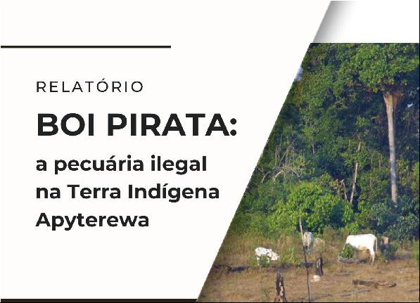 Alt da imagem